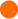 Vector
